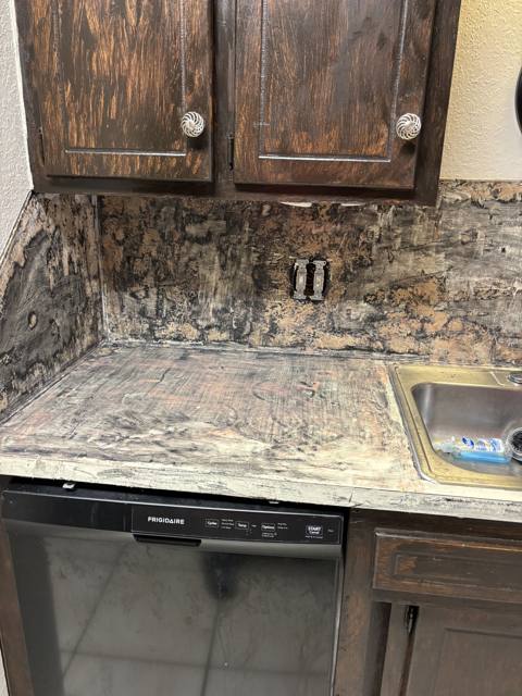 Kitchen before: mold covering the wall behind dark cabinets